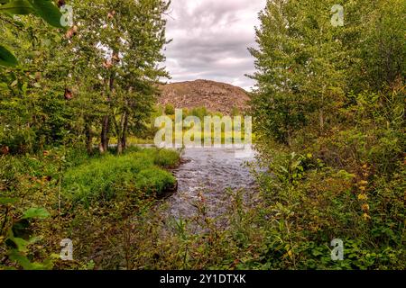 Wildtierlandschaft mit einem Bach, der in einen Fluss fließt Stockfoto