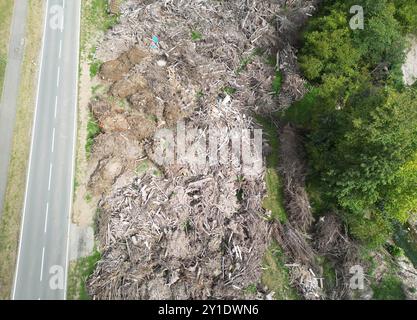 Rudersberg, Deutschland. September 2024. Etwa 100 Tage nach einer Überschwemmung nach starken Regenfällen liegen noch Berge von angespüllten und gebrochenen Baumteilen in einem Lagerbereich (Luftaufnahme mit einer Drohne). Rund 100 Tage nach der Überschwemmungskatastrophe im Bezirk Rems-Murr steckt der Wiederaufbau noch in den Kinderschuhen. Quelle: Bernd Weißbrod/dpa/Alamy Live News Stockfoto