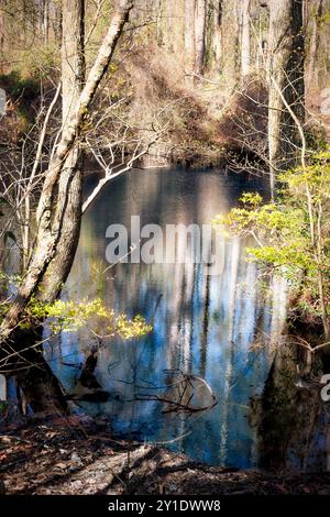 Der Dismal Swamp Canal, der von 12 Jahren Sklavenarbeit erbaut wurde und 1805 eröffnet wurde, ist der älteste kontinuierlich betriebene künstliche Kanal in den Vereinigten Staaten Stockfoto