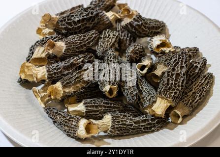 Morel Morchella Pilz. Ungekocht, auf einer weißen Platte auf einem isolierten Hintergrund Stockfoto