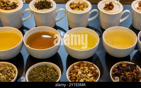 Verschiedene Kräutertees in Porzellantassen und -Schüsseln Stockfoto