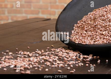 Eine geneigte Tonschale mit einem Teil Erdreis darin und anderen Körnern, die auf dem Tisch verstreut sind. Stockfoto