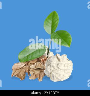 Keimling mit grünen Blättern, die aus zerknitterten Papierbällen auf blauem Hintergrund wachsen. Recycling Stockfoto