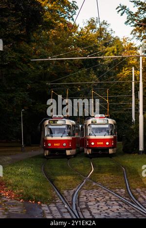 Prag, Tschechische republik - 12. Oktober 2021: Zwei rote und gelbe Straßenbahnen warten auf Gleisen in prag im Stromovka-Park Stockfoto