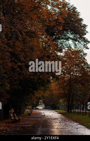 Leere Bänke unter bunten Bäumen säumen eine Stadtparkallee im Herbst im Stromovka Park Prag Stockfoto