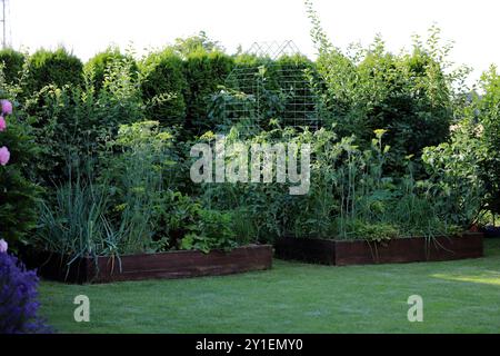 Gemüse, Kräuter und Blumen, die im Garten angebaut werden. Stockfoto