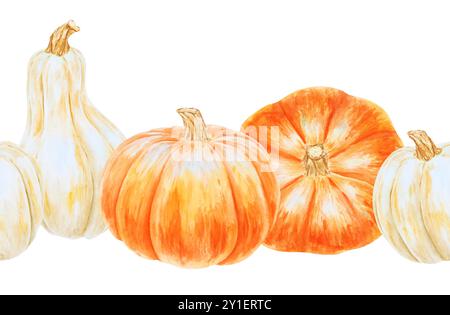 Orangefarbene und weiße Kürbisse. Realistische botanische Malerei. Rustikaler Stil. Handgezeichnetes Aquarell isoliert horisontal nahtlose Grenze mit Herbstgemüse Stockfoto