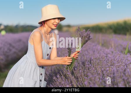 Eine junge Frau sammelt einen Lavendelstrauß auf einer blühenden Sommerwiese und fängt den Moment als Bloggerin ein. Stockfoto