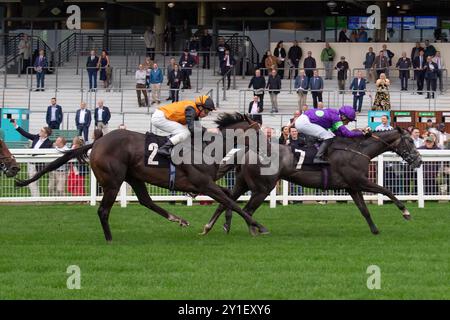 Ascot, Großbritannien. September 2024. THEORYOFEVERYTHING, geritten von Jockey Sean Levey, gewinnt die National Racehorse Week Handicap Stakes (Klasse 2) beim Big Food and Festival Weekend, unterstützt von Chapel Down auf der Ascot Racecourse in Berkshire. Besitzer Gallop Racing, Trainer David O'Meara. Quelle: Maureen McLean/Alamy Live News Stockfoto