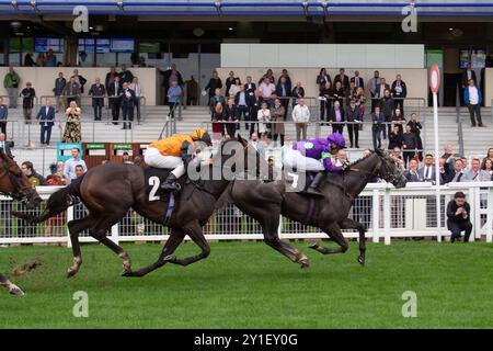 Ascot, Großbritannien. September 2024. THEORYOFEVERYTHING, geritten von Jockey Sean Levey, gewinnt die National Racehorse Week Handicap Stakes (Klasse 2) beim Big Food and Festival Weekend, unterstützt von Chapel Down auf der Ascot Racecourse in Berkshire. Besitzer Gallop Racing, Trainer David O'Meara. Quelle: Maureen McLean/Alamy Live News Stockfoto