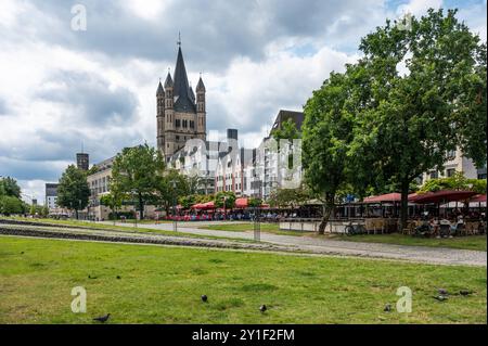 Köln, Nordrhein-Westfalen, Deutschland, 25. Juli 2024 - Grüne Rheinufer in der Altstadt Stockfoto