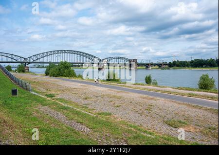 Köln, Nordrhein-Westfalen, Deutschland, 25. Juli 2024 - Ufer und Brücke am Rhein Stockfoto