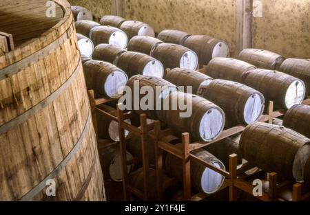 Handwerkliche Herstellung des alkoholischen Getränks Cachaca in Brasilien. Fässer zur Reifung von Cachaca. Stockfoto