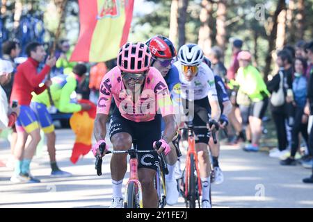 Richard Carapaz vom Ecuador EF Education easypost Team animierte mehrere Etappen von La Vuelta in teh Mountains 2024 Stockfoto