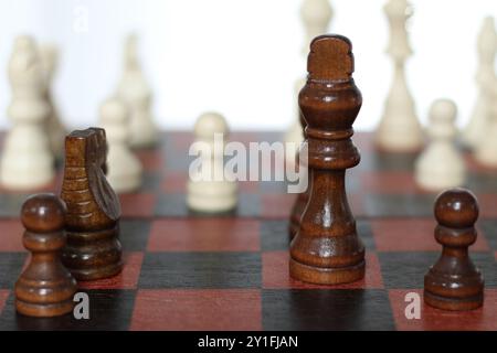Hölzerne Schachfiguren auf Schachbrett mit weißem Hintergrund Stockfoto