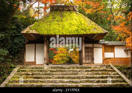 Ein malerischer Blick auf ein traditionelles japanisches Tor mit einem moosbedeckten Dach, eingerahmt von lebhaftem Herbstlaub. Die Steintreppe führt zum Eingang Stockfoto