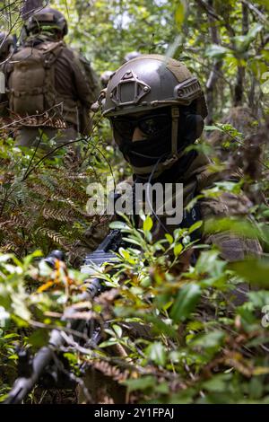 Als Soldat der Al Forsan Brigade der Vereinigten Arabischen Emirate, die Presidential Guard, stellt die hintere Sicherheit während eines simulierten kombinierten Angriffs mit Marines des 2. Bataillons, 2. Marine Regiment, 2. Marine Division, als Teil des Unit Enhancement Training 24-2 im Marine Corps Base Camp Lejeune, North Carolina, am 31. Juli 2024. UET 24-2 ist eine bilaterale militärische Übung, die die Interoperabilität stärken und auf den langjährigen militärischen Beziehungen zwischen den US-Marines und den Soldaten der Vereinigten Arabischen Emirate aufbauen soll. (Foto des U.S. Marine Corps von Sgt. Nathan Mitchell) Stockfoto