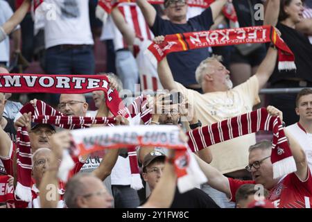 Fans, 2. Bundesliga, 1. FC Köln, Hamburger SV am 08/2024 im RheinEnergieStadion Köln. (DFL/DFB-VORSCHRIFTEN VERBIETEN DIE VERWENDUNG VON Stockfoto