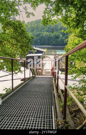 Eine Treppe mit Metallgeländern führt hinunter zu einem von grünen Bäumen umgebenen See, Rappbodetalsperre, Harz, Deutschland, Europa Stockfoto