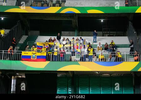 Curitiba, Parana, Brasilien. September 2024. Curitiba (PR), 06/2024 - QUALIFIKATION/BRASILIEN VS ECUADOR - ECUADOR Fans beim Spiel zwischen Brasilien und Ecuador, gültig für die 7. Runde der Qualifikation zur Weltmeisterschaft 2026, am Freitag, den 6. September 2024, im großen Antonio Couto Pereira Stadion in Curitiba-PR. (Kreditbild: © Ronaldo Barreto/TheNEWS2 via ZUMA Press Wire) NUR REDAKTIONELLE VERWENDUNG! Nicht für kommerzielle ZWECKE! Stockfoto