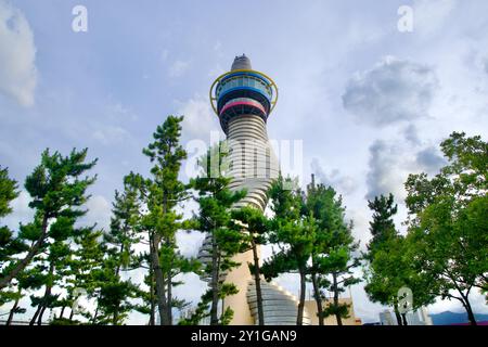 Sokcho, Südkorea - 28. Juli 2024: Der Sokcho Expo Tower erhebt sich über den Baumkronen, seine einzigartige Spiralarchitektur verschmilzt mit dem umliegenden pi Stockfoto