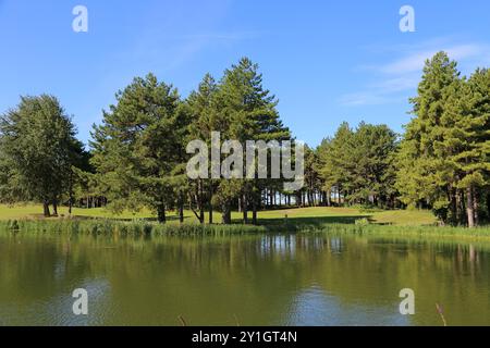 Golf Belle Dune, Promenade du Marquenterre, Fort Mahon Plage, Côte Picarde, Somme, Hauts de France, La Manche, Frankreich, Europa Stockfoto