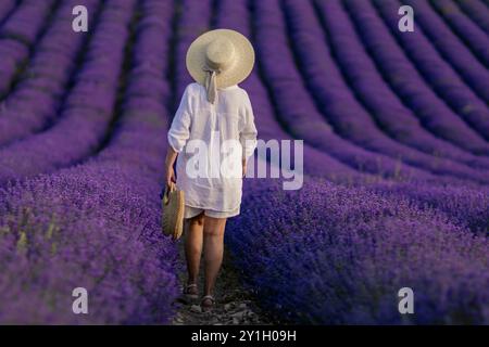 Eine Frau mit Strohhut geht durch ein Feld aus violetten Blumen. Die Szene ist ruhig und friedlich, die Frau nimmt die Schönheit des Flusses in sich Stockfoto