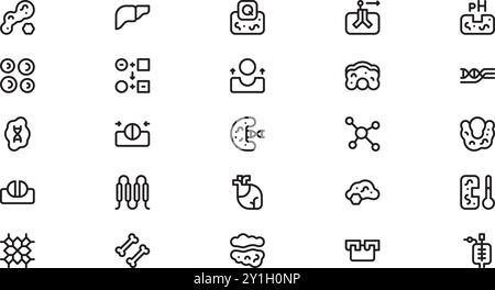 Enzyme Icons hochwertige Vektor-Icons Collection mit bearbeitbarer Kontur. Ideal für professionelle und kreative Projekte. Stock Vektor