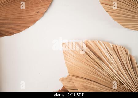 Ästhetische Anordnung getrockneter Palmblätter in verschiedenen Braun- und Beigetönen, wodurch eine natürliche und organische Textur vor hellem Hintergrund entsteht. Stockfoto
