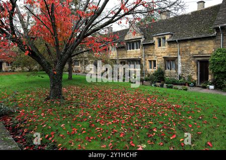 Herbstkirschbäume im Lord Burghley Hospital Almshouses, Stamford Town, Lincolnshire County, England, Großbritannien Stockfoto