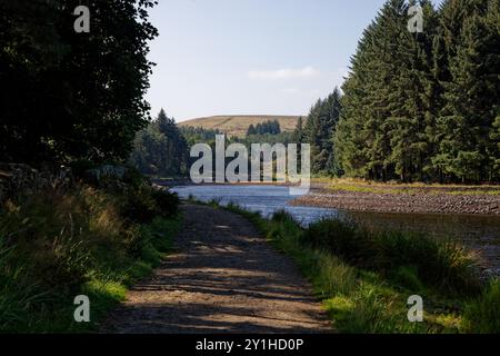 Bewaldete Ausblicke auf Turton und Entwistle Reservoir, Blackburn, Lancashire. Stockfoto