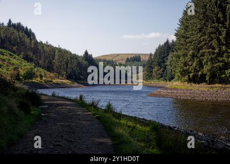 Bewaldete Ausblicke auf Turton und Entwistle Reservoir, Blackburn, Lancashire. Stockfoto