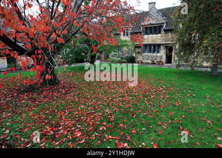 Herbstkirschbäume im Lord Burghley Hospital Almshouses, Stamford Town, Lincolnshire County, England, Großbritannien Stockfoto