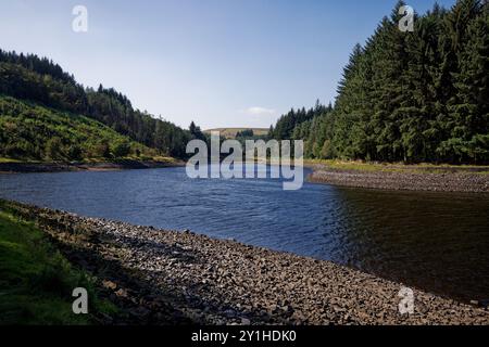 Bewaldete Talseiten des Turton- und Entwistle-Reservoir-Quellgebiets. Stockfoto