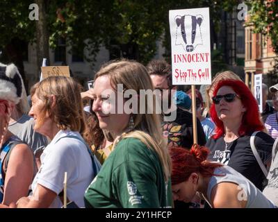 Demonstranten versammeln sich vor den Houses of Parliament in London, um ein Ende der Dachskulung zu fordern Stockfoto