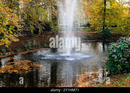 Ein ruhiger Teich, umgeben von Herbstlaub, mit einem zentralen Brunnen, der Wasser in die Luft sprüht. Die Szene fängt die Schönheit der Natur ein Stockfoto