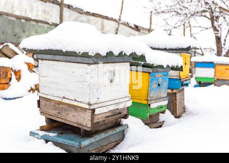 Reihen von bunt bemalten Bienenstöcken stehen bedeckt mit einer Schneeschicht in einer ländlichen Umgebung, was die kalten Wintermonate und die Sorgfalt anzeigt Stockfoto