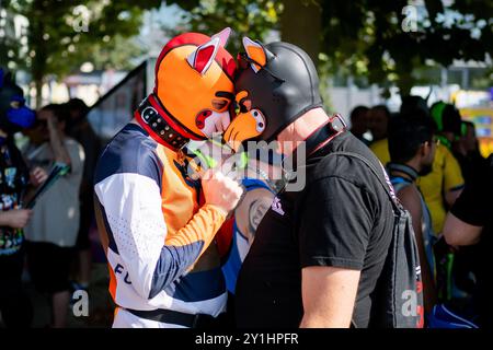 Erfurt, Deutschland. September 2024. Zwei Welpen stehen auf dem Theaterplatz während des Christopher Street Day (CSD). Das Motto der CSD 2024 lautet: „Für ein farbenfrohes Erfurt – nicht einen Schritt zurück“. Quelle: Jacob Schröter/dpa/Alamy Live News Stockfoto