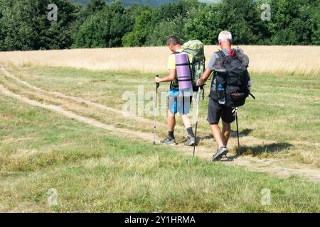 Zwei Wanderer mit Rucksäcken, die auf einem Weg durch ein offenes grasbewachsenes Feld mit Bäumen im Hintergrund wandern Stockfoto