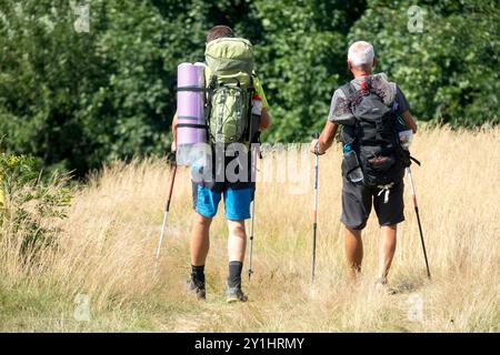 Zwei Wanderer mit Rucksäcken und Trekkingstöcken, die an einem sonnigen Tag in einer grasbewachsenen Gegend spazieren, umgeben von üppigen grünen Bäumen Stockfoto