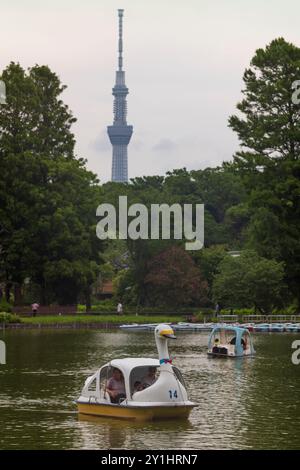 Tokio, Japan, 14. Juni 2024: Bootsrampen am Shinobazuno Pond im Ueno Park in Taito-ku, Tokio, bieten Ruderboote, Radboote und Schwanenboote wie gesehen Stockfoto