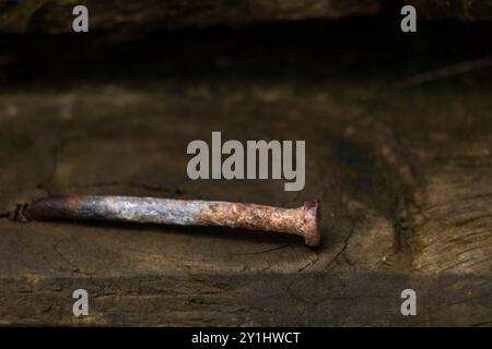 Nahaufnahme von rostigem Nagel in altem feuchtem Holz, mit Kopierraum. Hintergrund Stockfoto