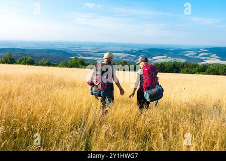 Zwei Wanderer mit Rucksäcken, die durch eine goldene grasbewachsene Wiese zu einem entfernten Blick auf sanfte Hügel und einen klaren blauen Himmel gehen Stockfoto