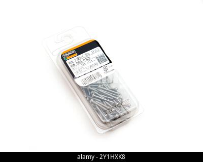 TRUSCO SCHRAUBEN B09-0325 3X25. Stockfoto
