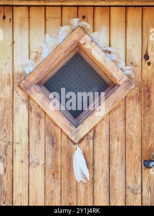 Ein Nahbild einer Holztür mit einem diamantförmigen Fenster, das mit einem Rahmen aus weißen Federn verziert ist, was einen Hauch von Einzigartigkeit und Laune verleiht Stockfoto