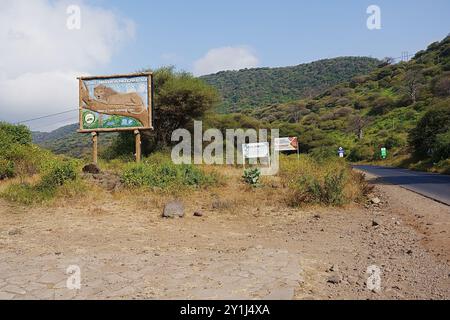 ARUSHA, TANSANIA - 22. Juli 2024: Gehen Sie an Bord im African Lake Manyara National Park, bewölkter blauer Himmel an warmen, sonnigen Wintertagen. Stockfoto