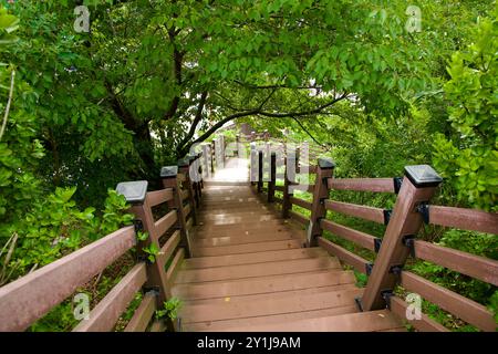 Sokcho City, Südkorea - 28. Juli 2024: Eine Holztreppe führt vom Yeonggeum Pavilion Observatory hinunter und führt durch üppiges Grün Stockfoto