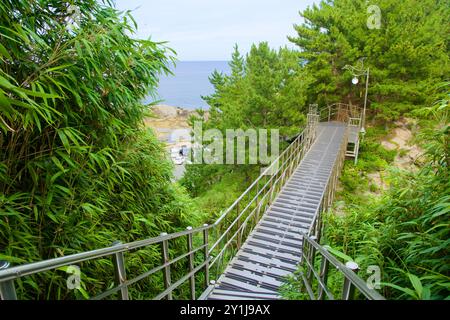 Sokcho City, Südkorea - 28. Juli 2024: Ein friedlicher Fußweg umgeben von üppigem Grün und Bambus, der zum Leuchtturm von Sokcho mit Blick auf die Stadt führt Stockfoto