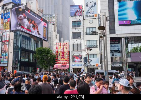 Tokio, Japan, 14. Juni 2024: Eine gigantische 3D-Katze erwacht auf einem 1.664 Quadratmeter großen, geschwungenen LED-Display mit 4K-Auflösung in der Nähe der geschäftigsten Eisenbahn der Stadt zum Leben Stockfoto