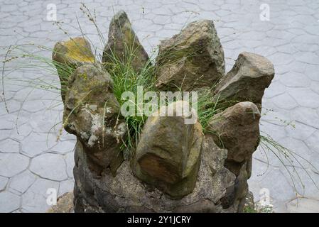 An der Station auf der Spitze der Artxanda-Standseilbahn in Bilbao können Sie diese seltsame Vase aus Felsen am Fuße einer Treppe sehen: Gras wird gezüchtet. Stockfoto